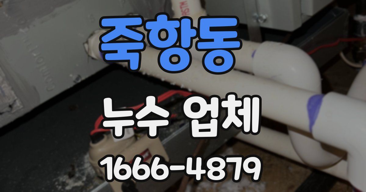 죽항동 누수 업체