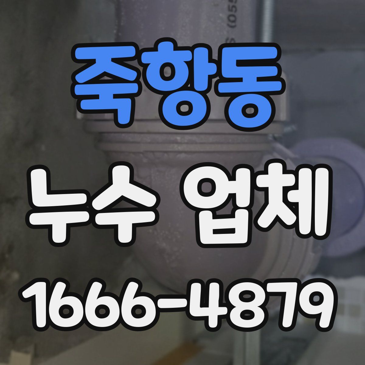 죽항동 누수 업체