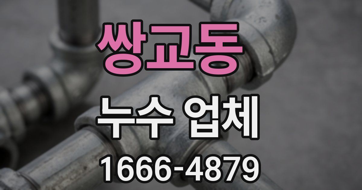 쌍교동 누수 업체