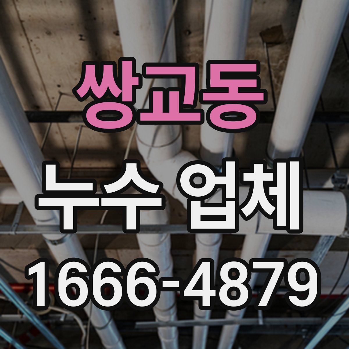 쌍교동 누수 업체