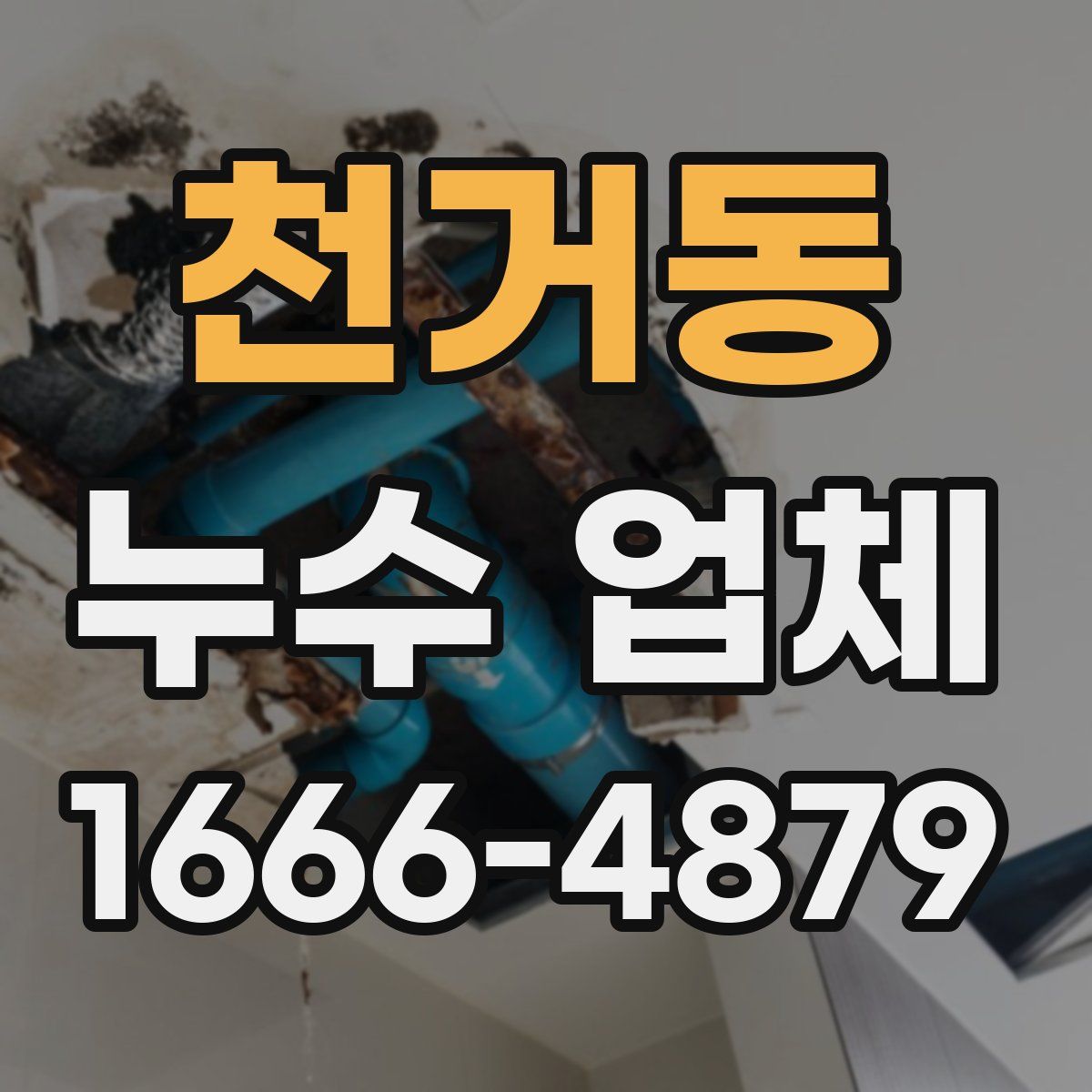 천거동 누수 업체