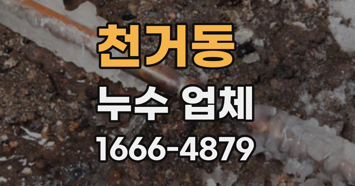 천거동 누수 업체