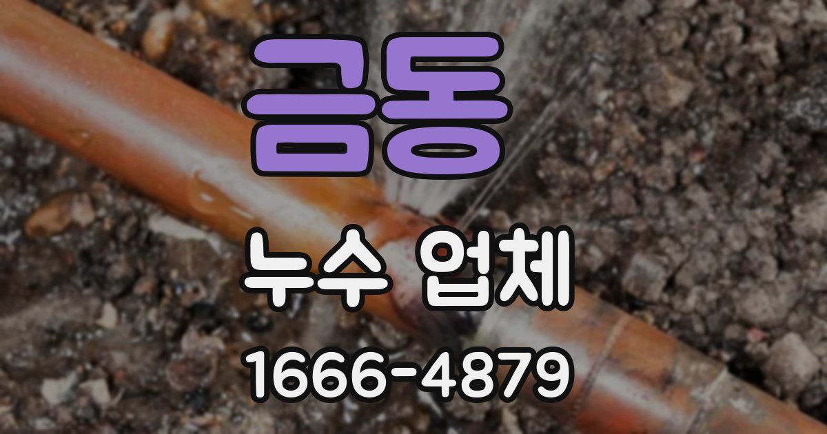 금동 누수 업체