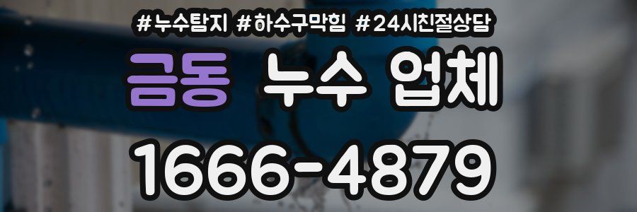 금동 누수 업체