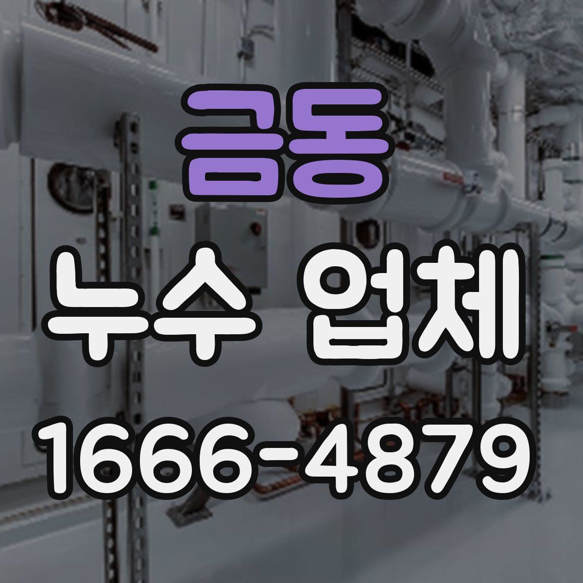 금동 누수 업체
