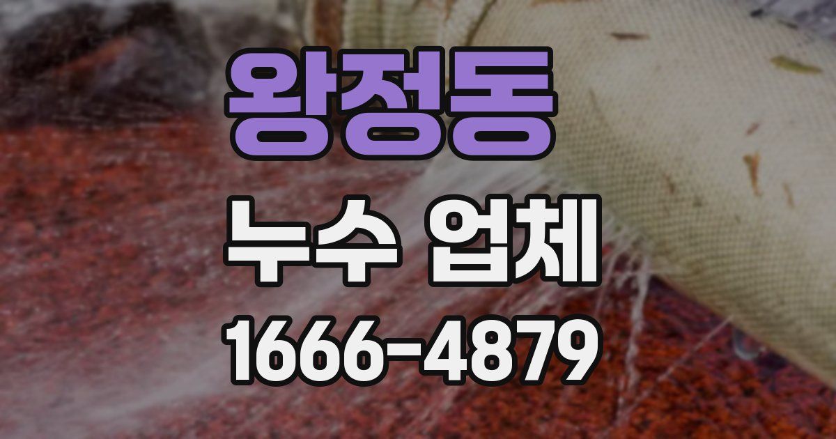 왕정동 누수 업체