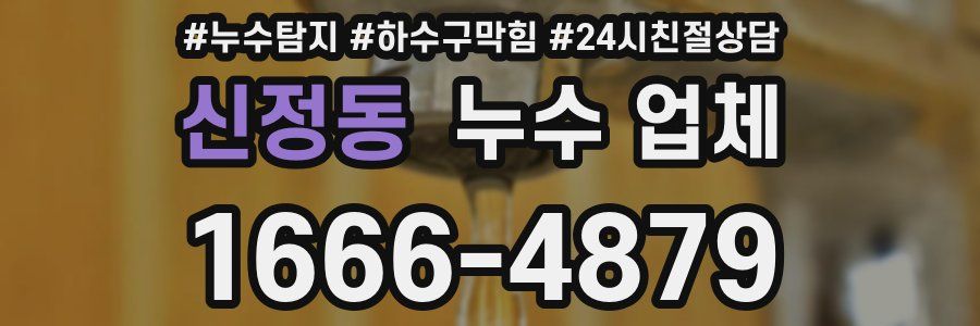 신정동 누수 업체