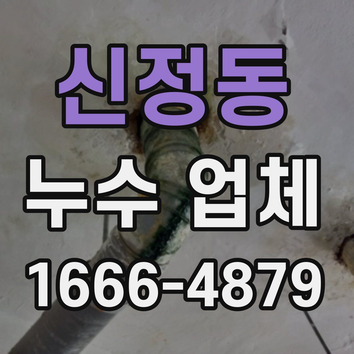 신정동 누수 업체