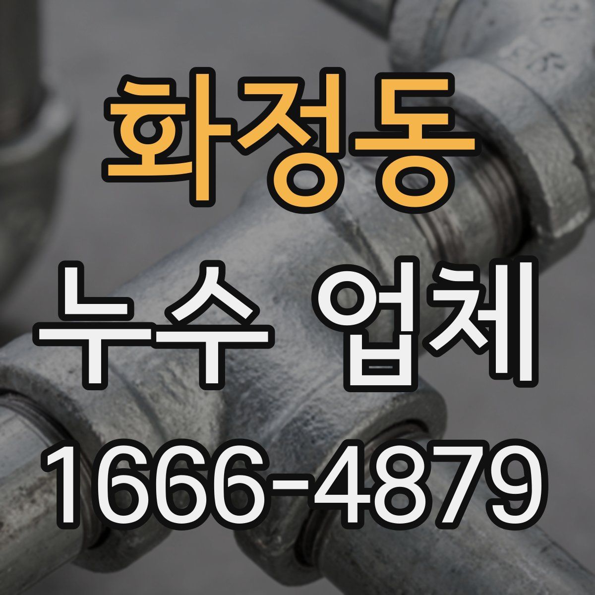 화정동 누수 업체