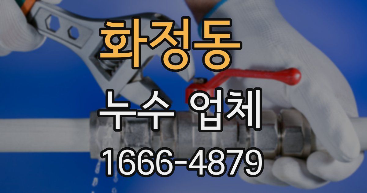 화정동 누수 업체