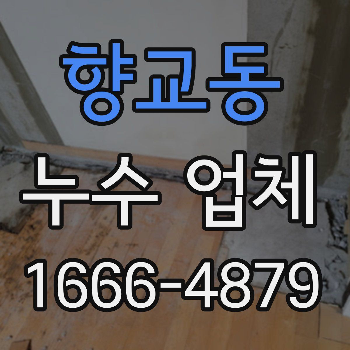향교동 누수 업체