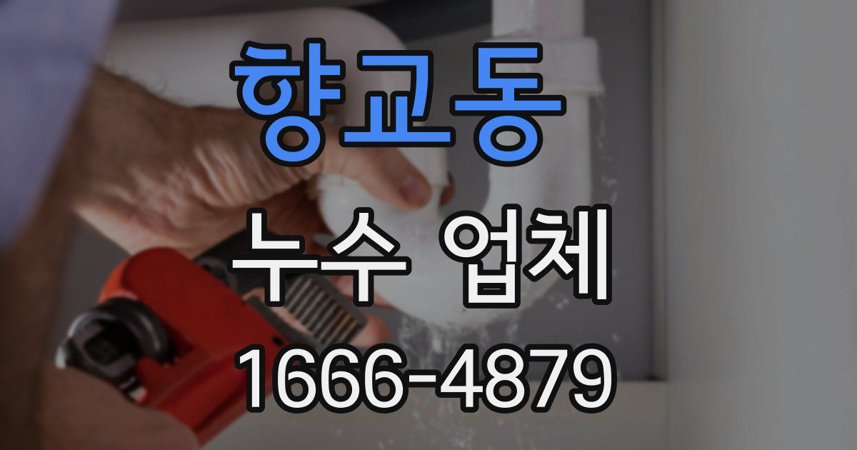향교동 누수 업체
