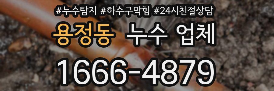 용정동 누수 업체