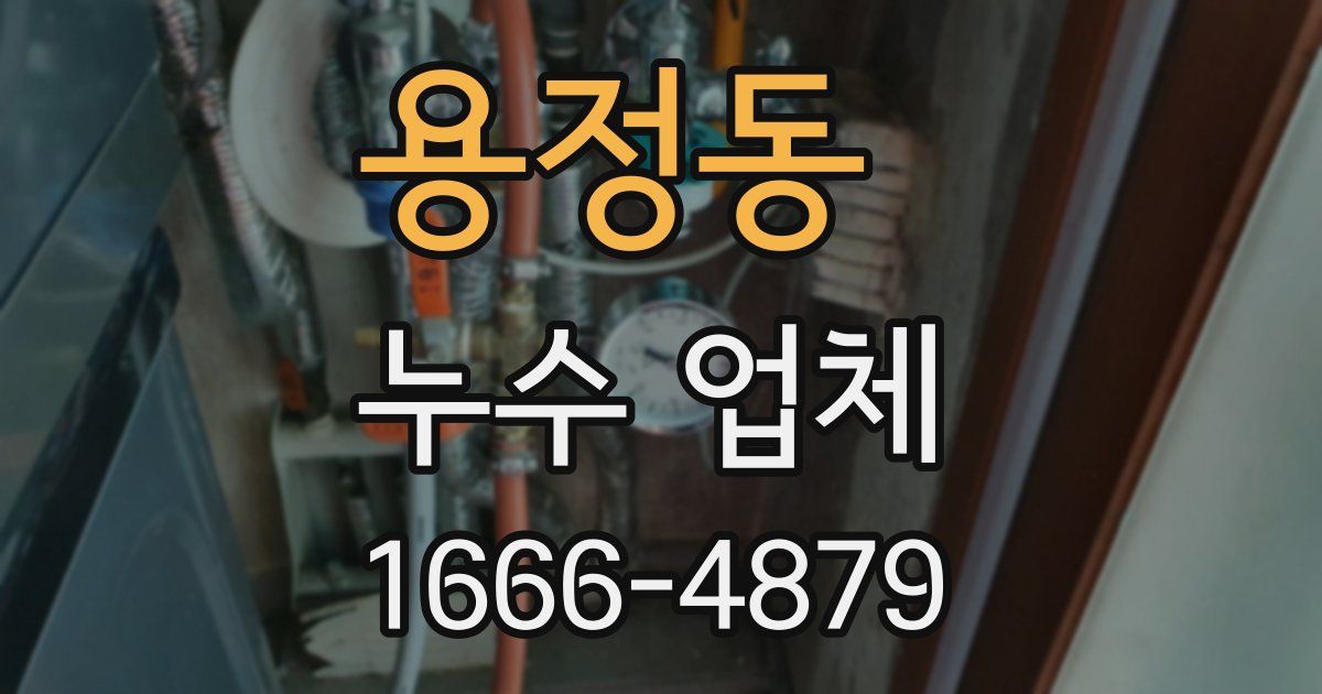용정동 누수 업체