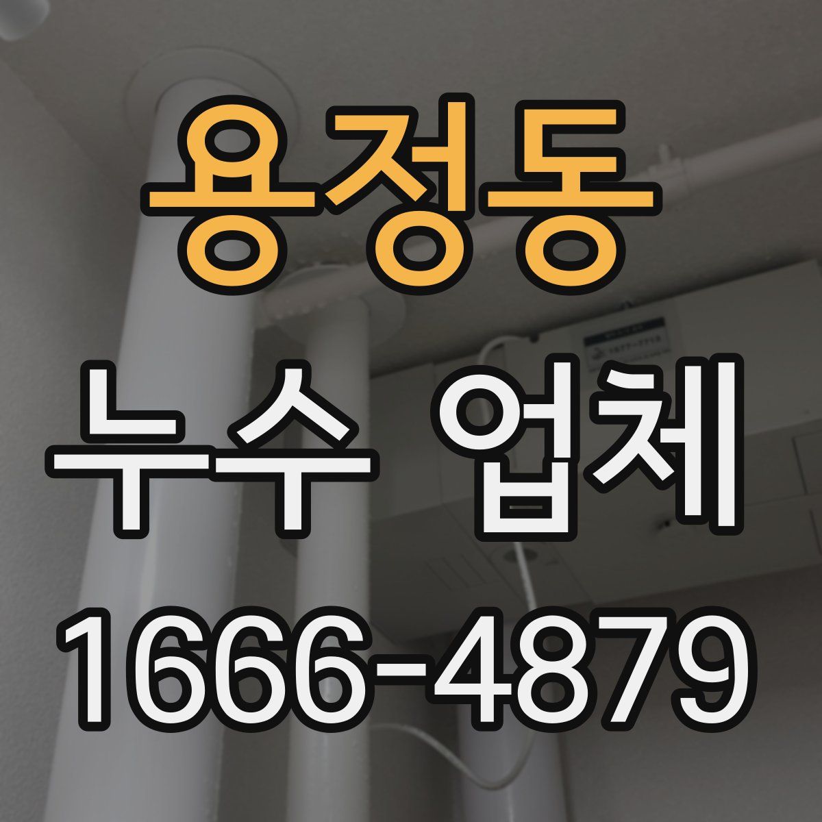 용정동 누수 업체
