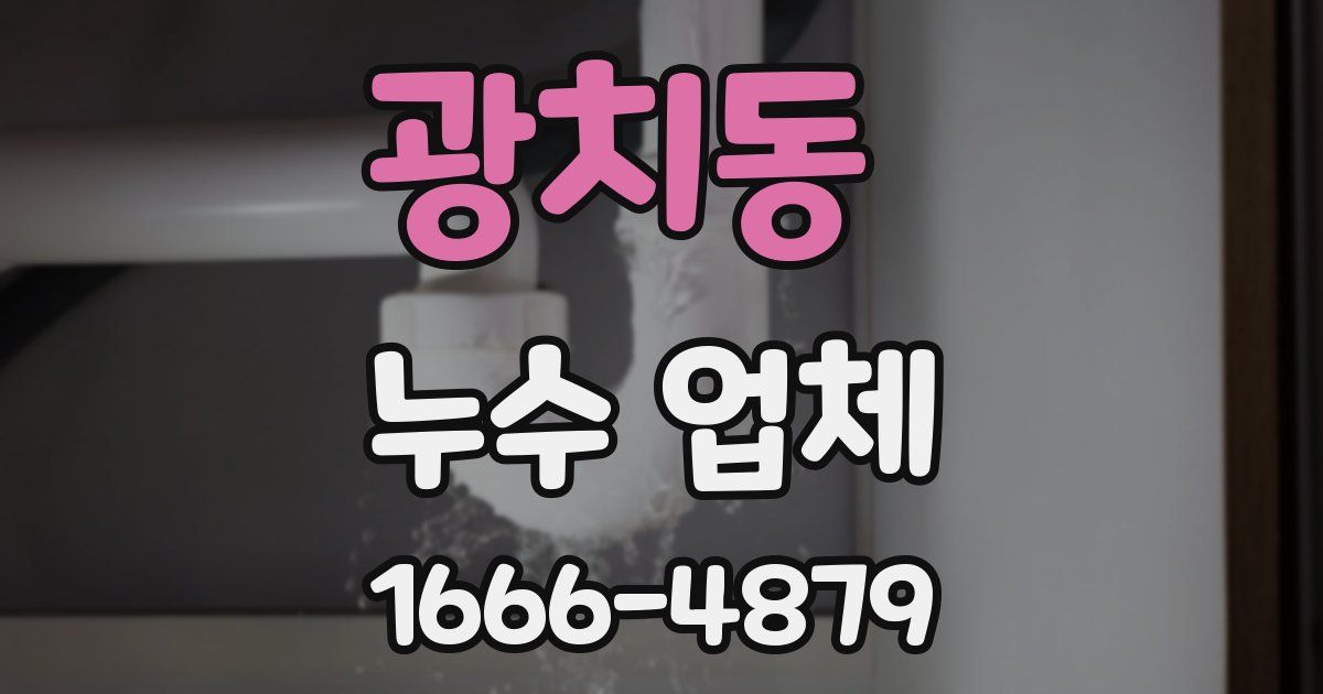 광치동 누수 업체