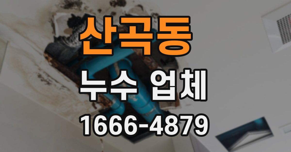 산곡동 누수 업체