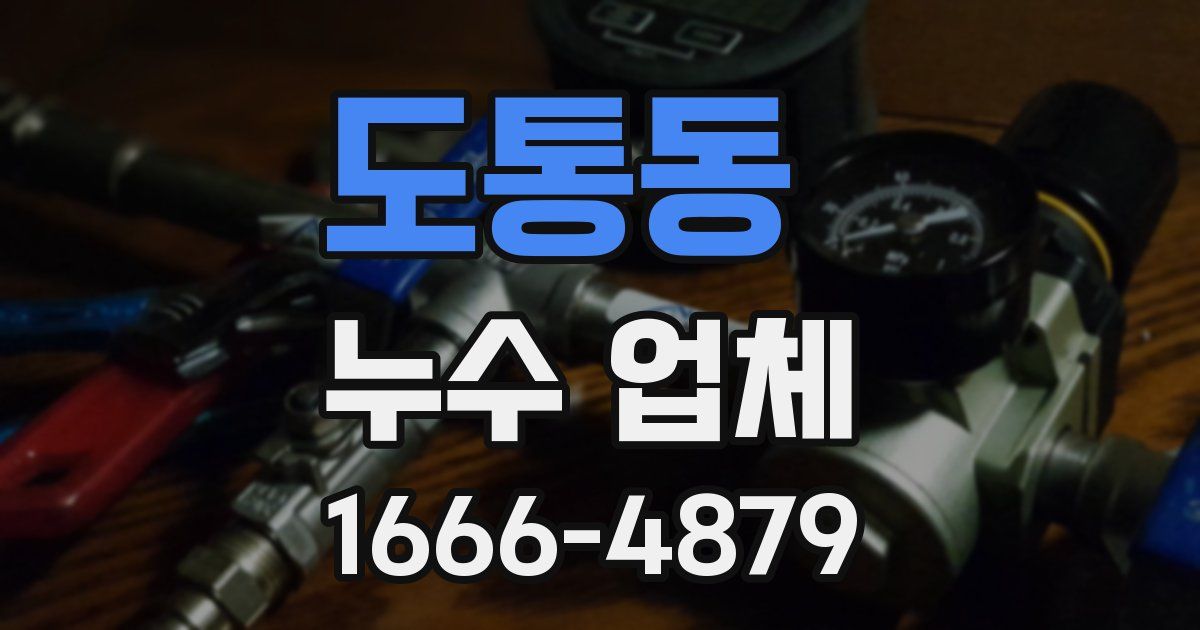 도통동 누수 업체