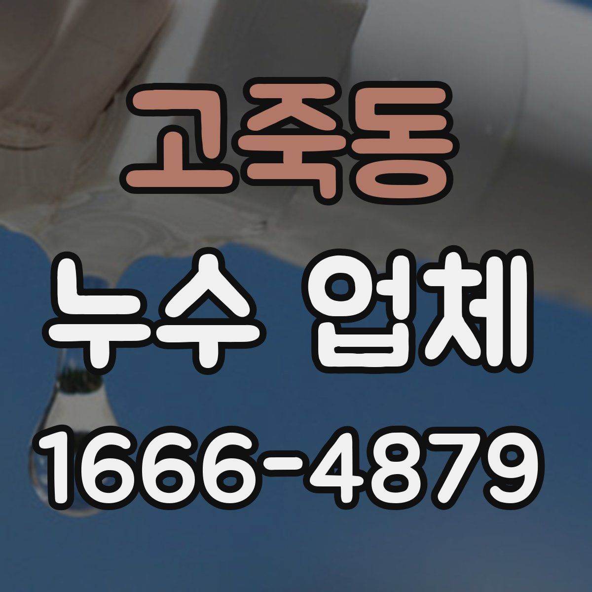 고죽동 누수 업체