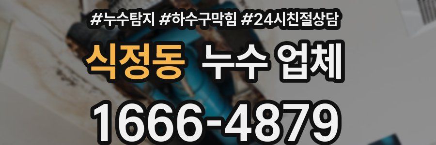 식정동 누수 업체