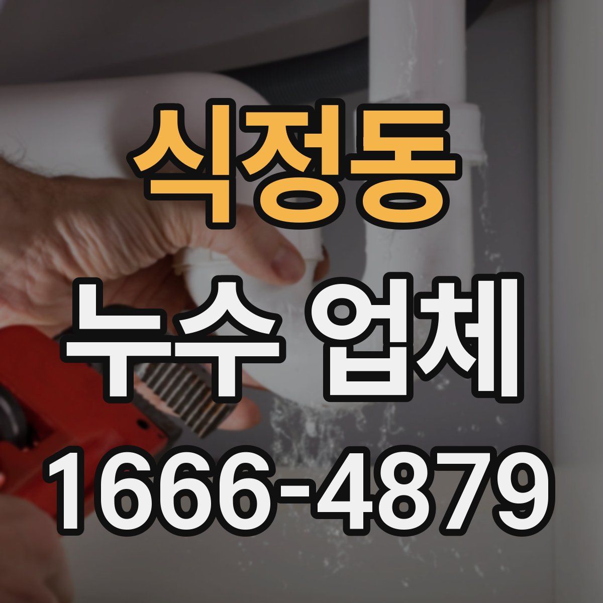 식정동 누수 업체