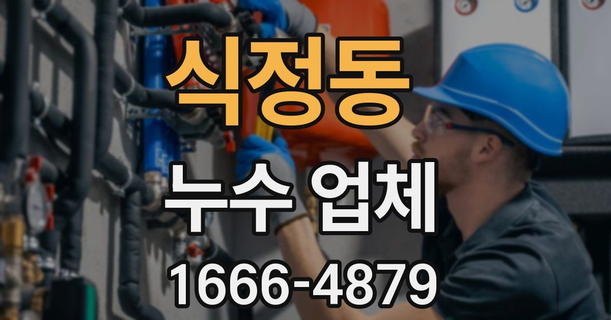 식정동 누수 업체