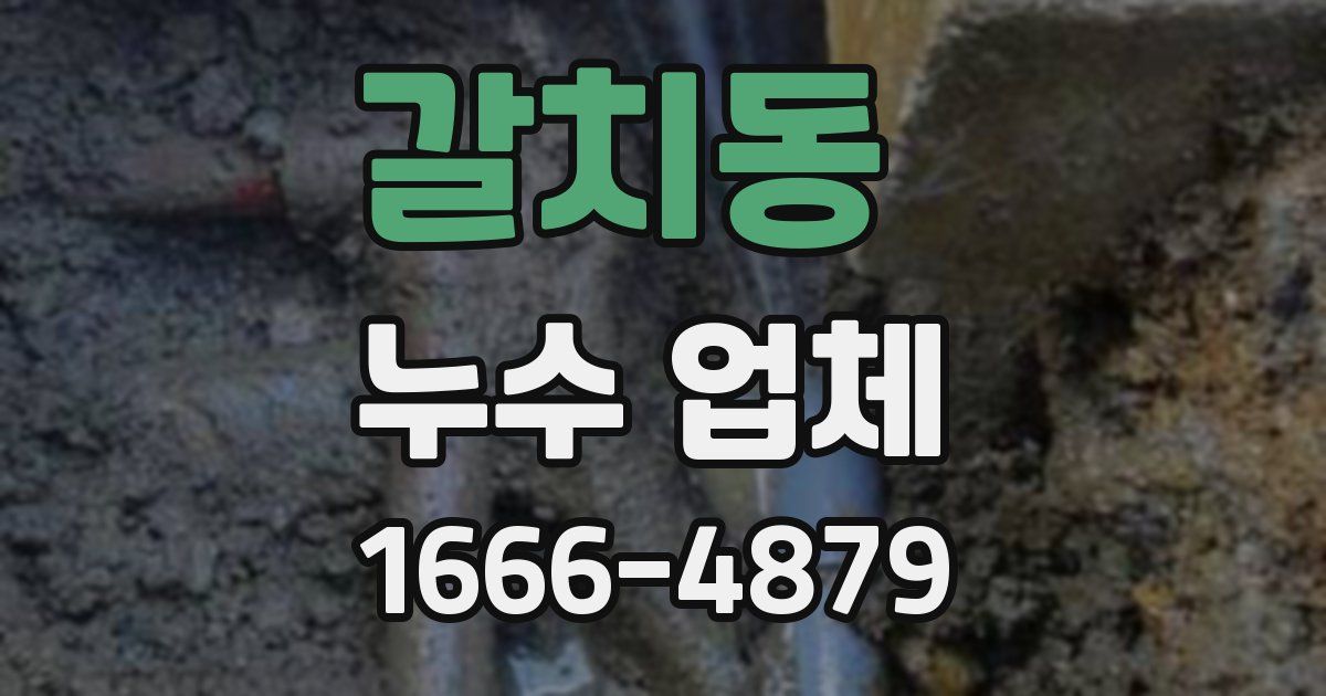 갈치동 누수 업체
