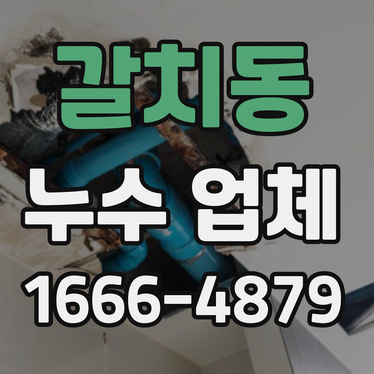 갈치동 누수 업체