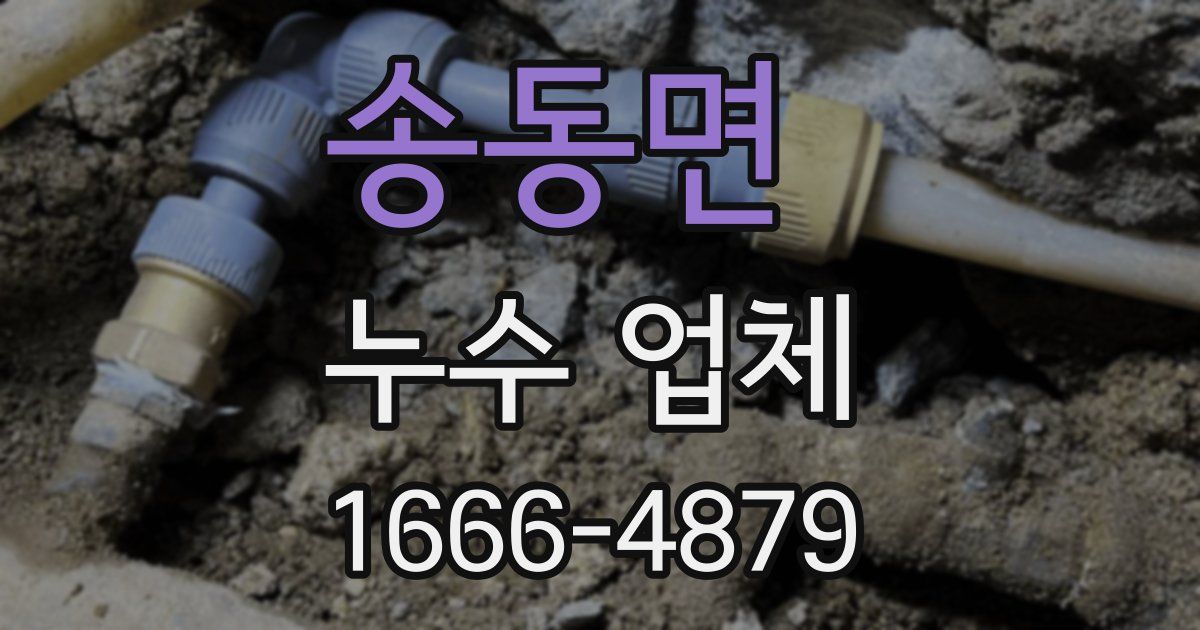 송동면 누수 업체