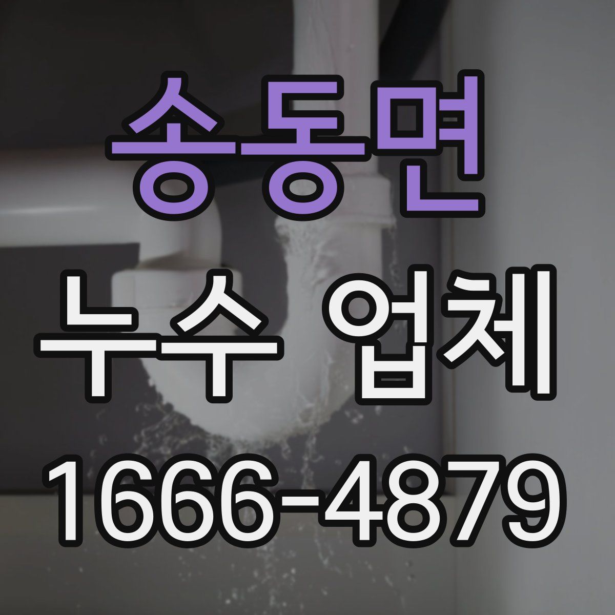 송동면 누수 업체