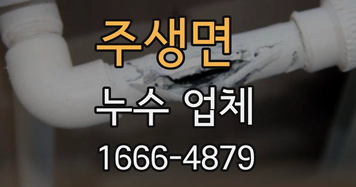 주생면 누수 업체