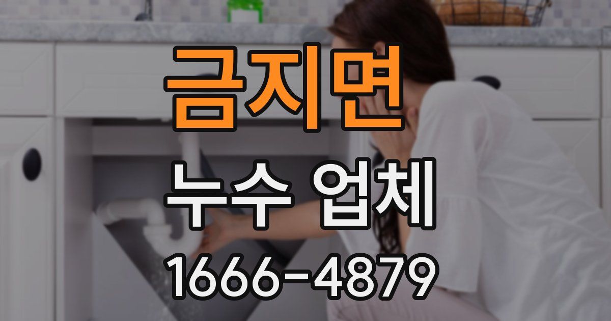 금지면 누수 업체