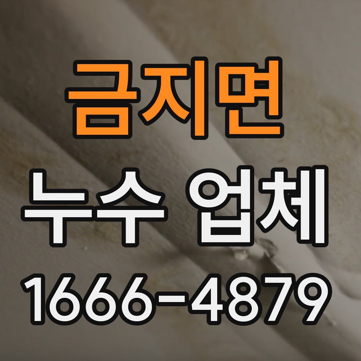 금지면 누수 업체