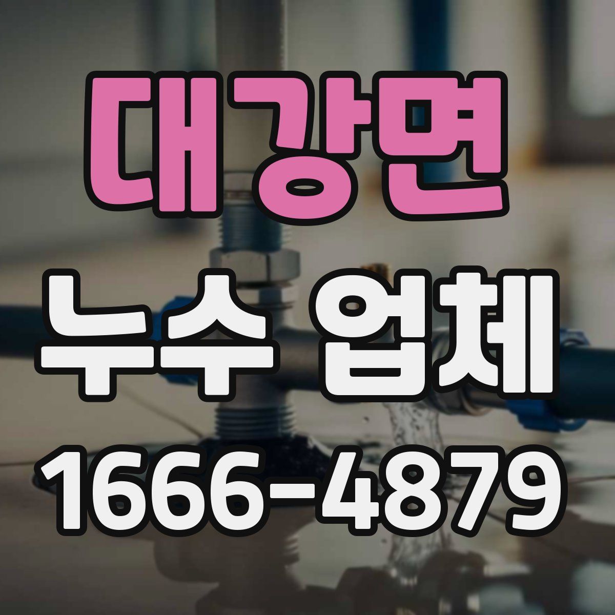 대강면 누수 업체