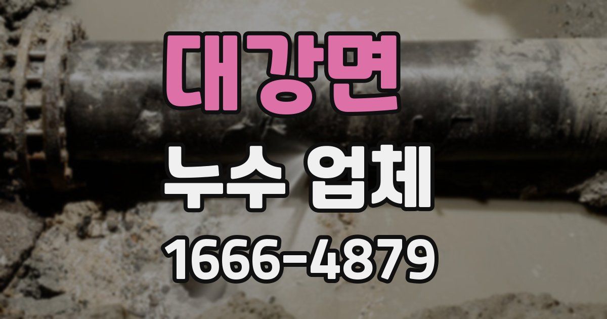 대강면 누수 업체