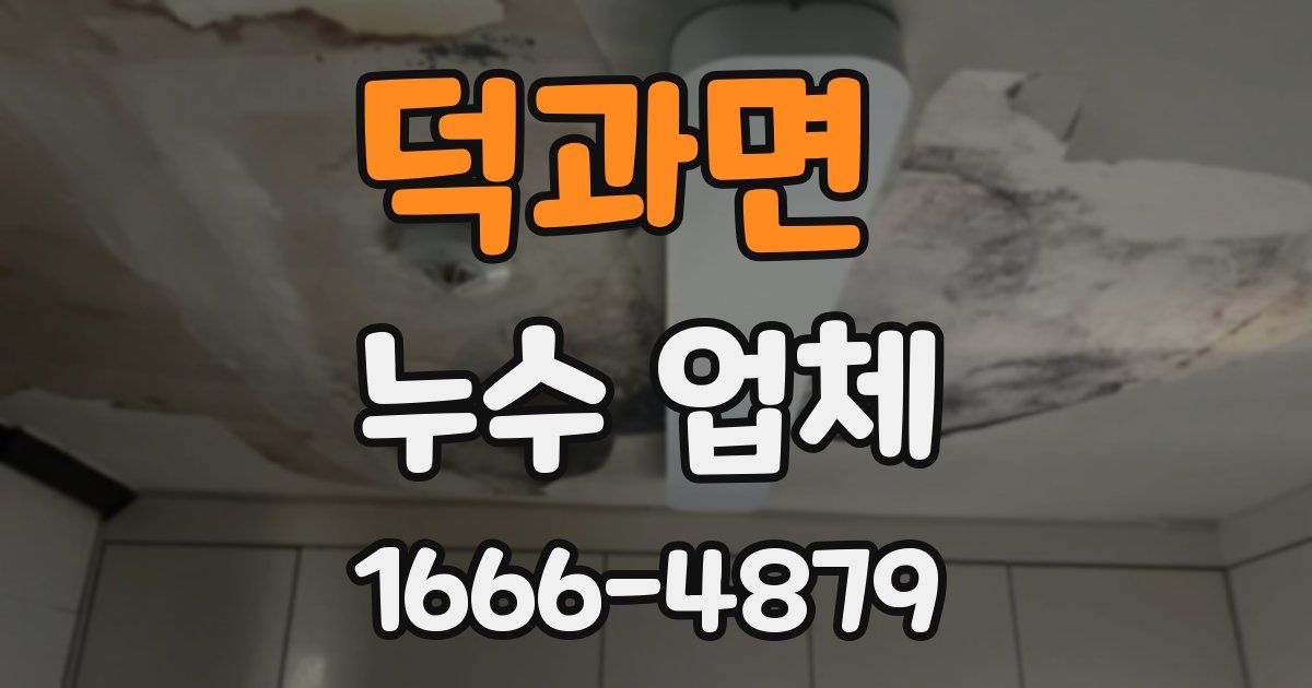 덕과면 누수 업체