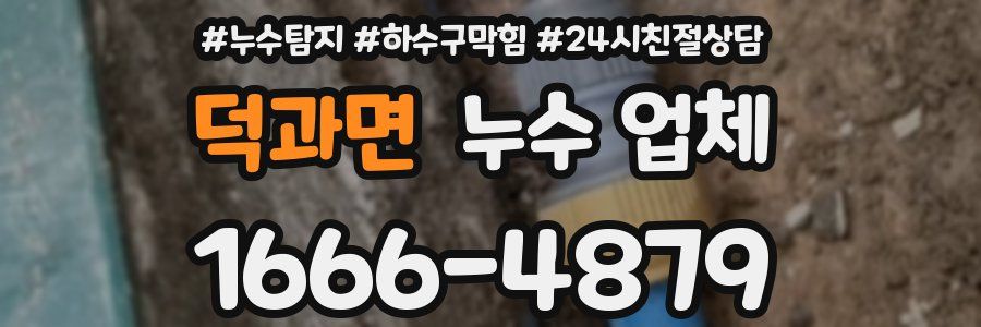 덕과면 누수 업체