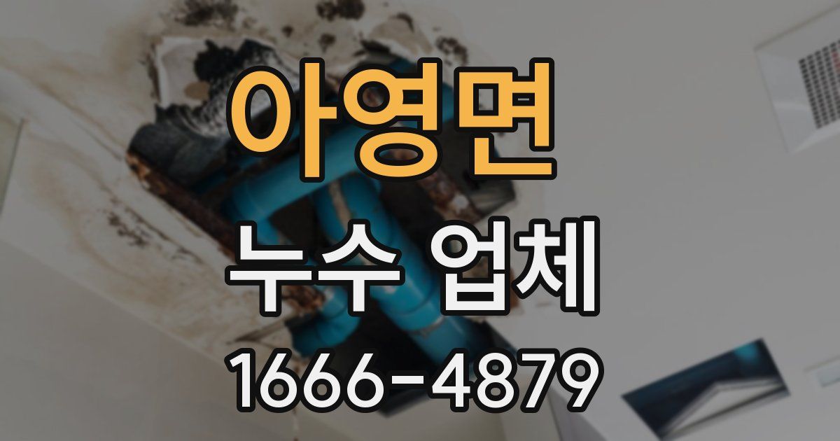 아영면 누수 업체