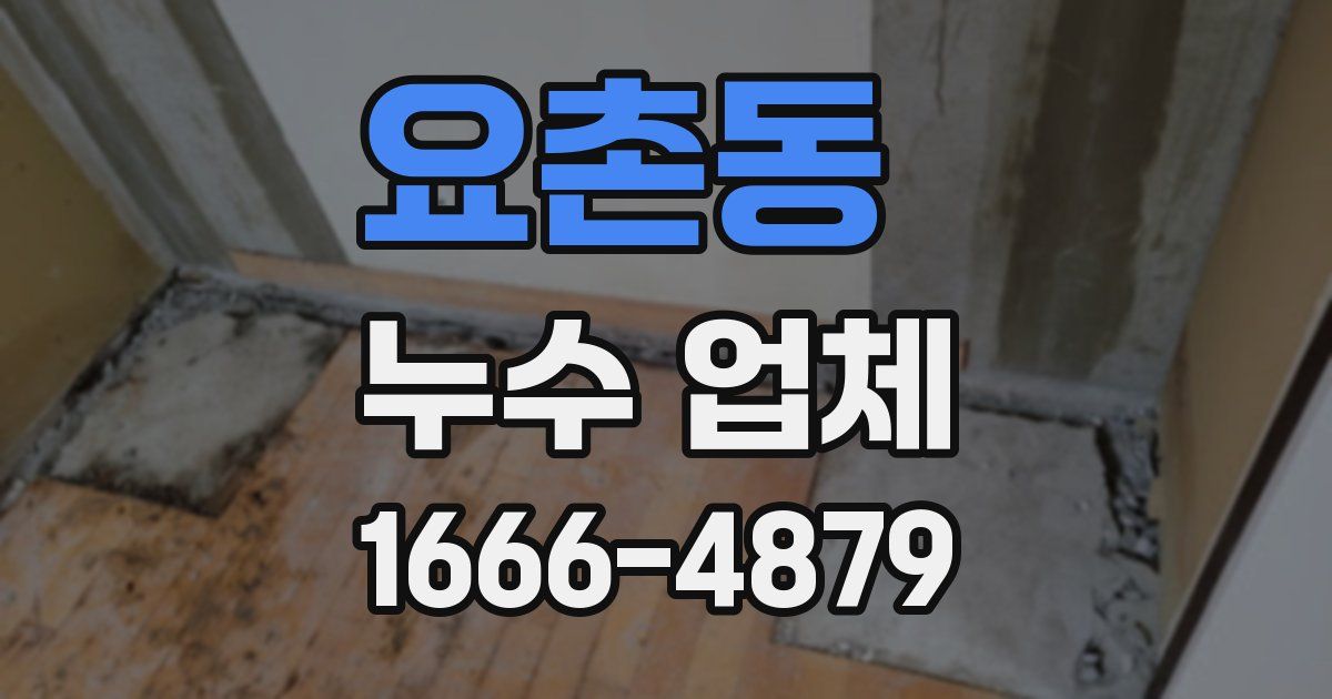 요촌동 누수 업체