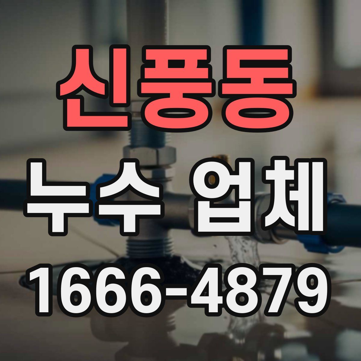신풍동 누수 업체