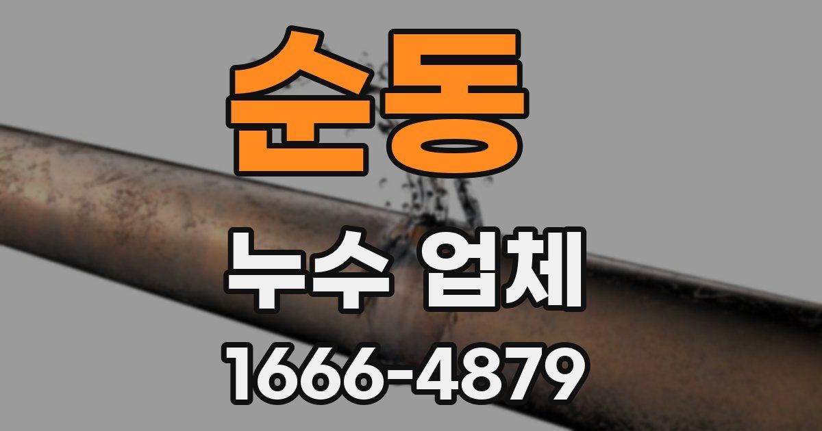 순동 누수 업체