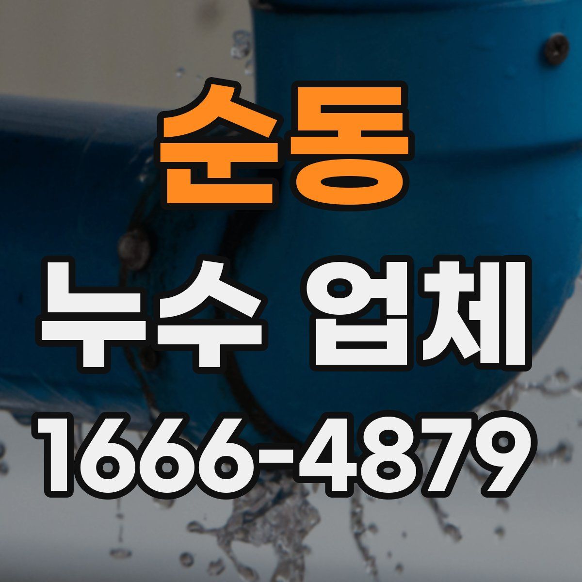 순동 누수 업체