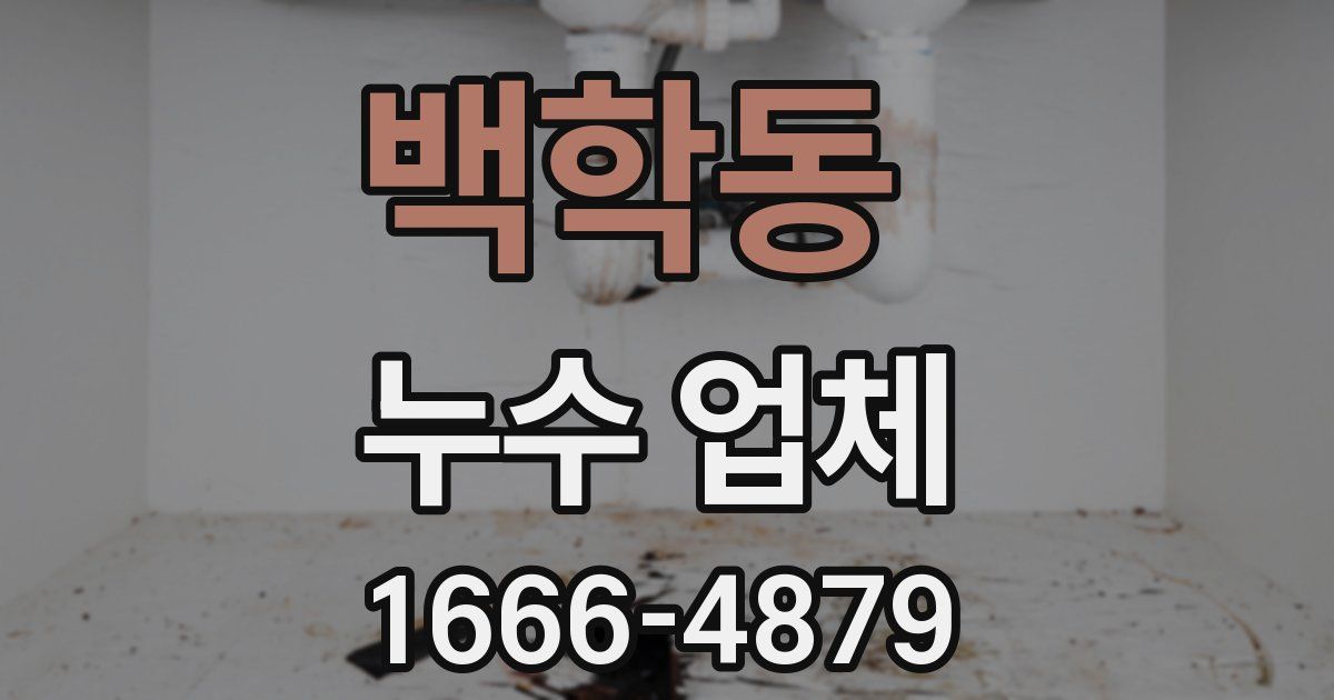 백학동 누수 업체