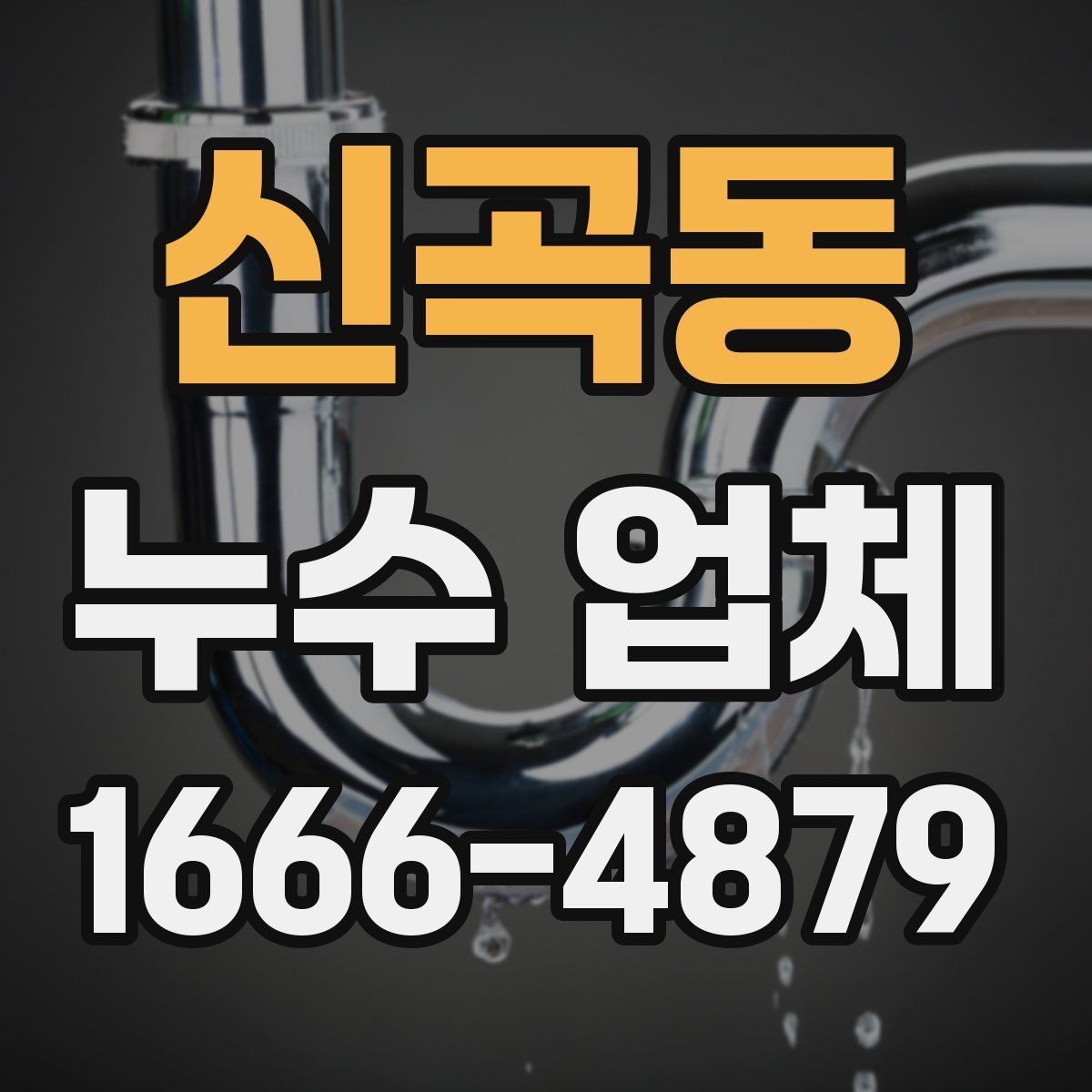신곡동 누수 업체