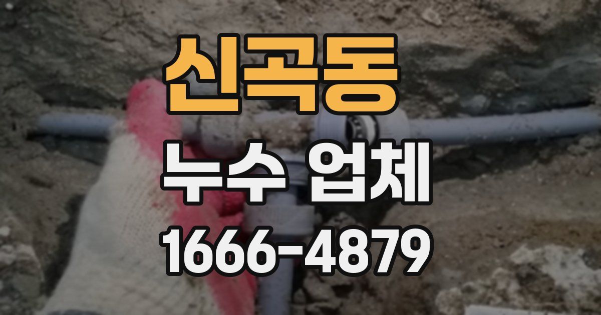 신곡동 누수 업체