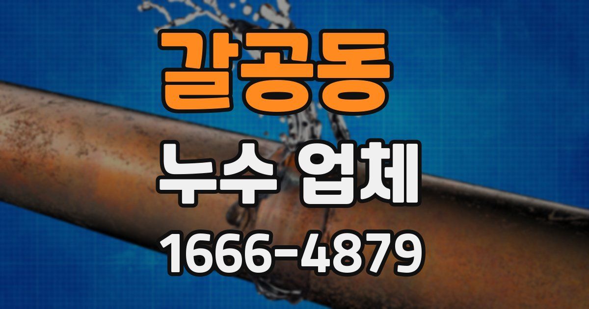 갈공동 누수 업체