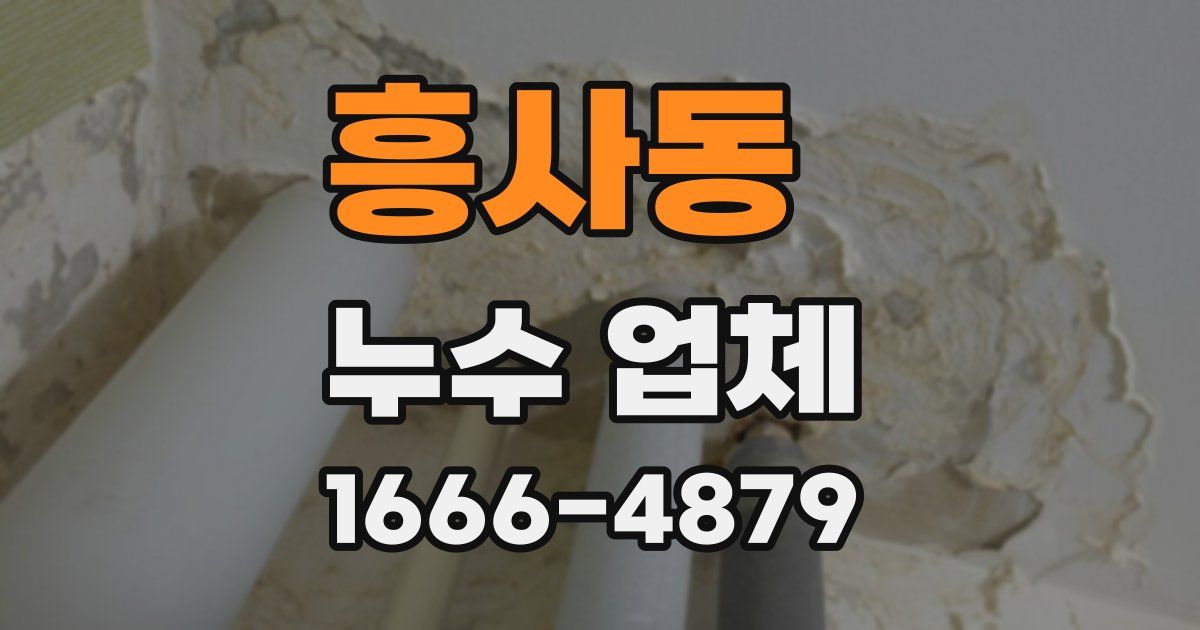 흥사동 누수 업체