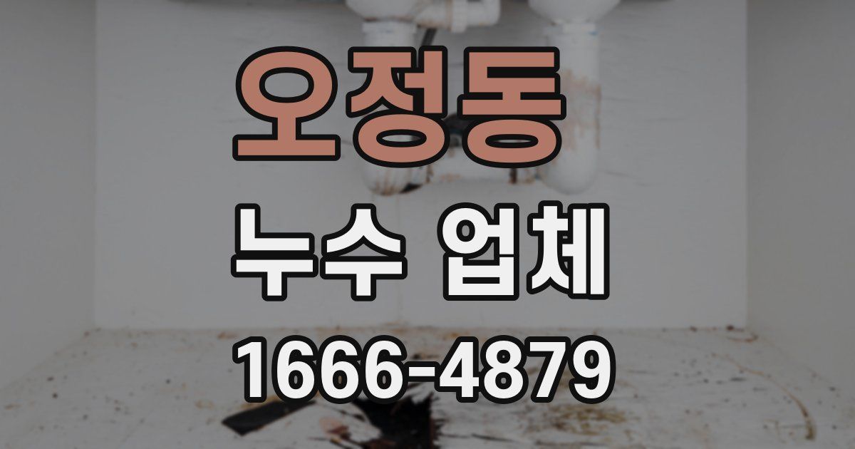 오정동 누수 업체