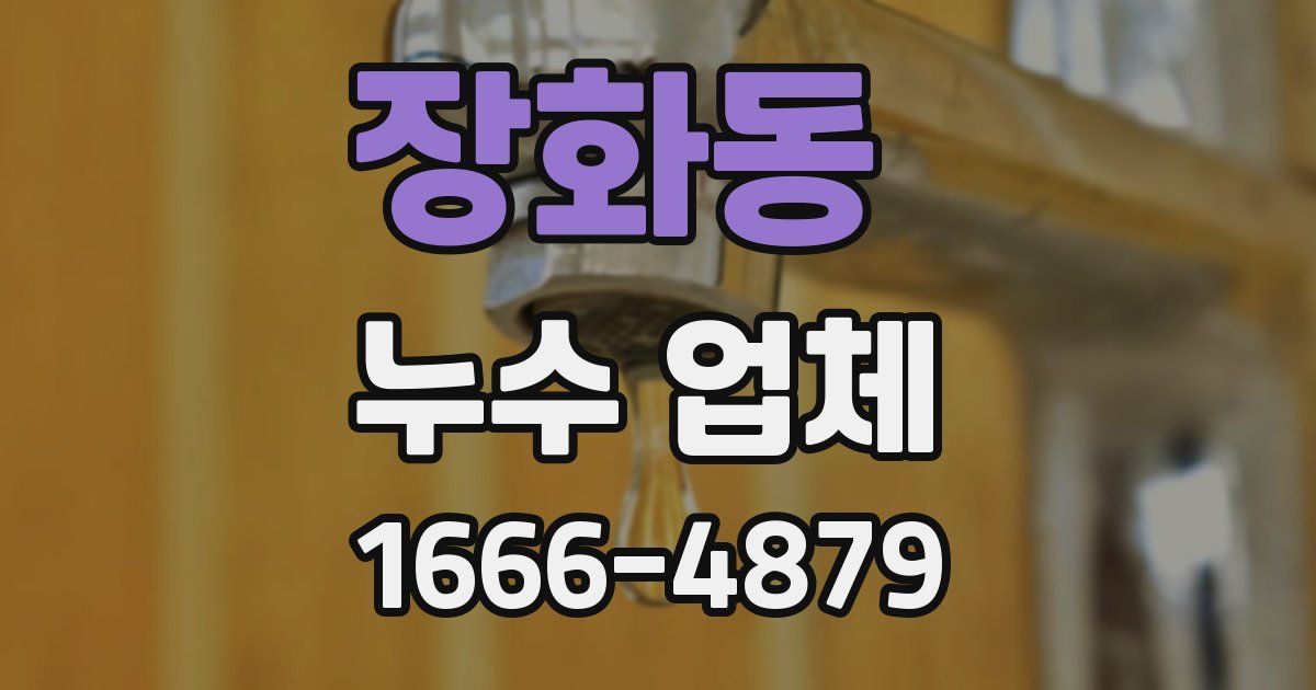 장화동 누수 업체