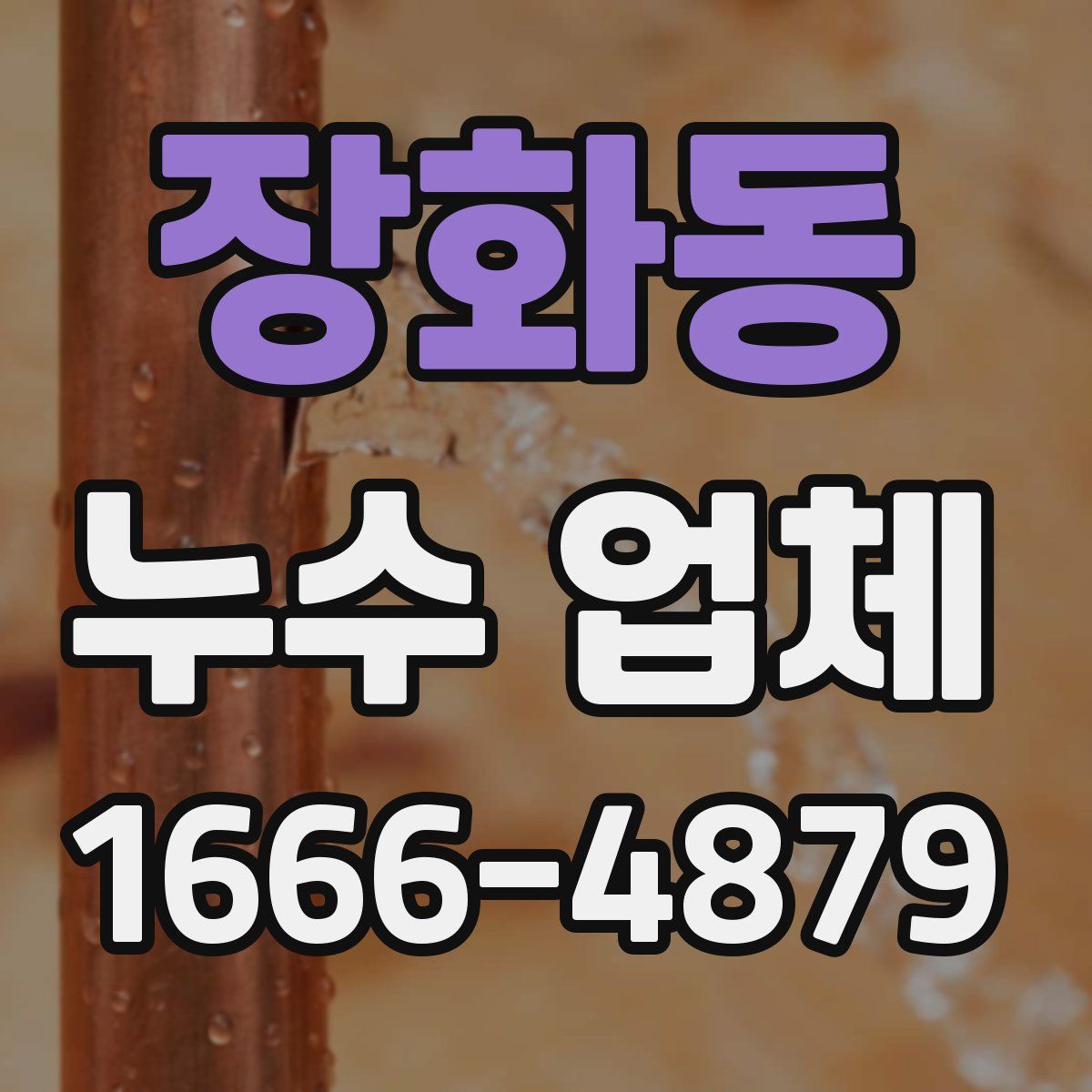 장화동 누수 업체